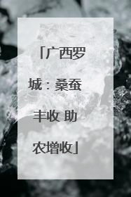 广西罗城：桑蚕丰收 助农增收