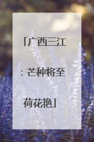 广西三江：芒种将至荷花艳