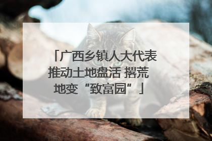 广西乡镇人大代表推动土地盘活 撂荒地变“致富园”