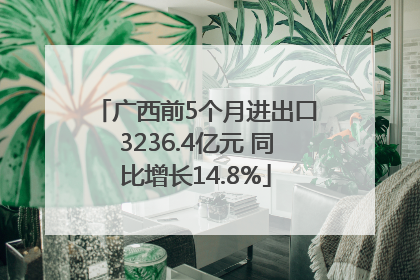 广西前5个月进出口3236.4亿元 同比增长14.8%