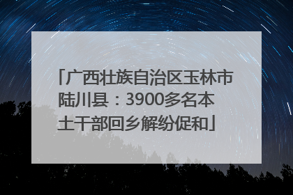 广西壮族自治区玉林市陆川县：3900多名本土干部回乡解纷促和
