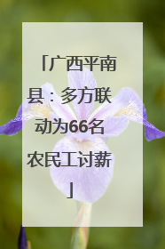 广西平南县：多方联动为66名农民工讨薪