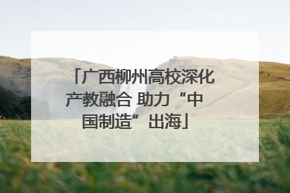 广西柳州高校深化产教融合 助力“中国制造”出海
