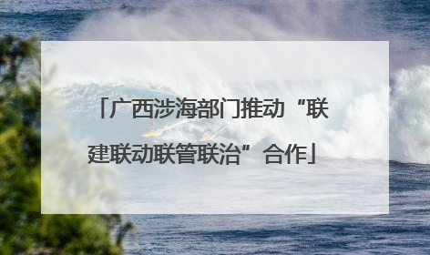 广西涉海部门推动“联建联动联管联治”合作