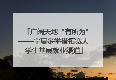 广阔天地“有所为”——宁夏多举措拓宽大学生基层就业渠道
