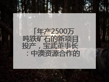 年产2500万吨铁矿石的新项目投产，宝武董事长：中澳资源合作的里程碑