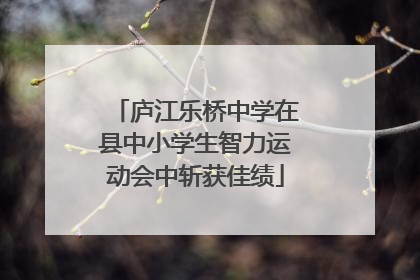 庐江乐桥中学在县中小学生智力运动会中斩获佳绩