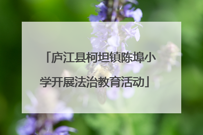 庐江县柯坦镇陈埠小学开展法治教育活动