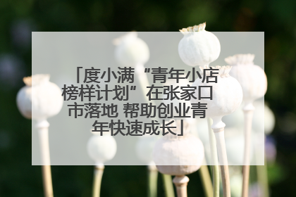 度小满“青年小店榜样计划”在张家口市落地 帮助创业青年快速成长