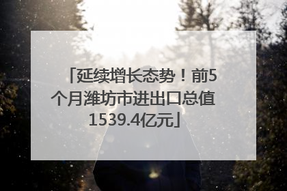延续增长态势！前5个月潍坊市进出口总值1539.4亿元