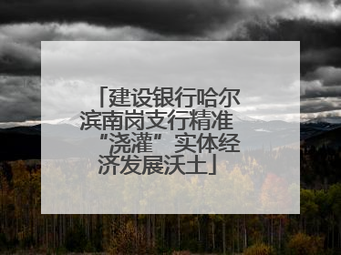 建设银行哈尔滨南岗支行精准“浇灌”实体经济发展沃土