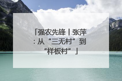 强农先锋丨张萍：从“三无村”到“样板村”