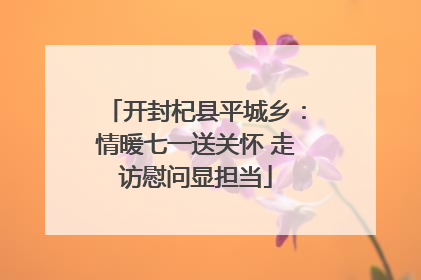 开封杞县平城乡：情暖七一送关怀 走访慰问显担当