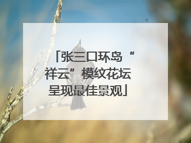 张三口环岛“祥云”模纹花坛呈现最佳景观