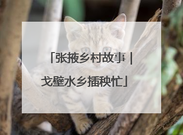 张掖乡村故事｜戈壁水乡插秧忙