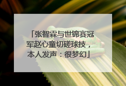 张智霖与世锦赛冠军赵心童切磋球技，本人发声：很梦幻