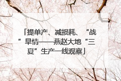 提单产、减损耗、“战”旱情——燕赵大地“三夏”生产一线观察