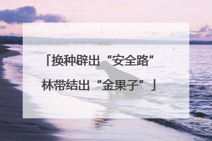 换种辟出“安全路” 林带结出“金果子”