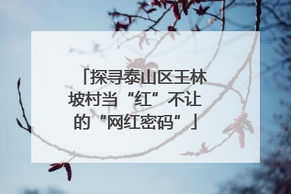 探寻泰山区王林坡村当“红”不让的“网红密码”