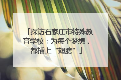 探访石家庄市特殊教育学校：为每个梦想，都插上“翅膀”