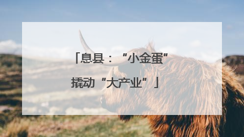 息县：“小金蛋”撬动“大产业”