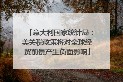 意大利国家统计局：美关税政策将对全球经贸前景产生负面影响
