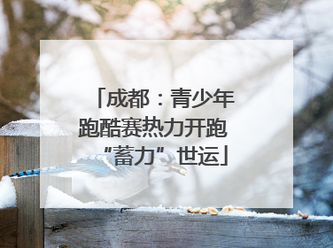 成都：青少年跑酷赛热力开跑“蓄力”世运