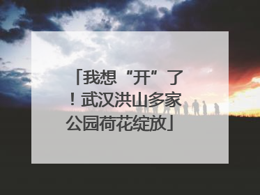 我想“开”了！武汉洪山多家公园荷花绽放
