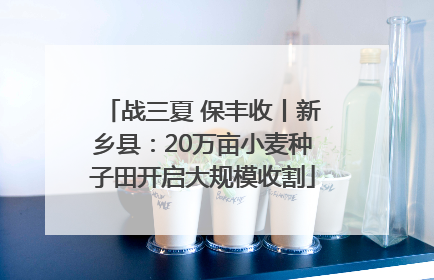 战三夏 保丰收丨新乡县：20万亩小麦种子田开启大规模收割