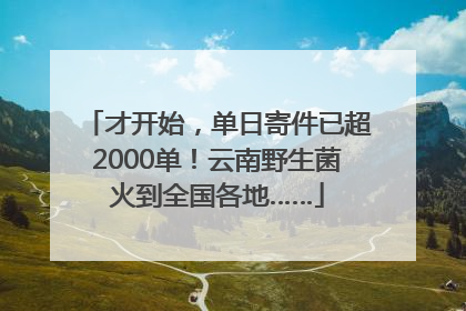 才开始，单日寄件已超2000单！云南野生菌火到全国各地……
