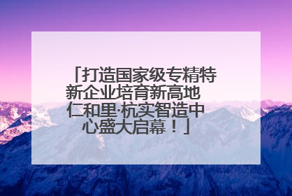 打造国家级专精特新企业培育新高地 仁和里·杭实智造中心盛大启幕！