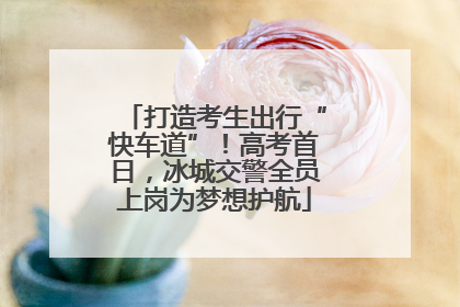 打造考生出行“快车道”！高考首日，冰城交警全员上岗为梦想护航