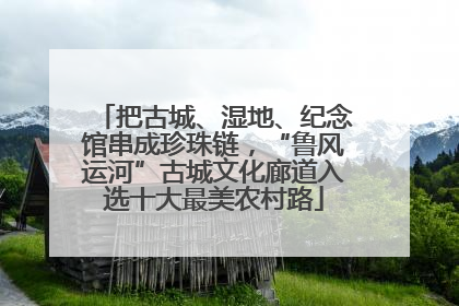 把古城、湿地、纪念馆串成珍珠链，“鲁风运河”古城文化廊道入选十大最美农村路