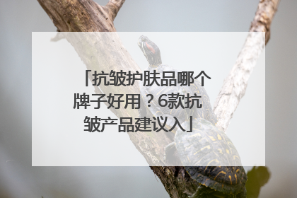 抗皱护肤品哪个牌子好用？6款抗皱产品建议入