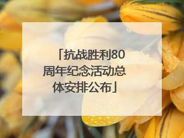 抗战胜利80周年纪念活动总体安排公布