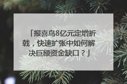 报喜鸟8亿元定增折戟，快速扩张中如何解决巨额资金缺口？