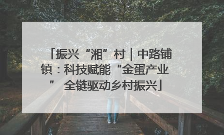 振兴“湘”村｜中路铺镇：科技赋能“金蛋产业” 全链驱动乡村振兴