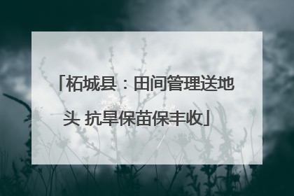 柘城县：田间管理送地头 抗旱保苗保丰收