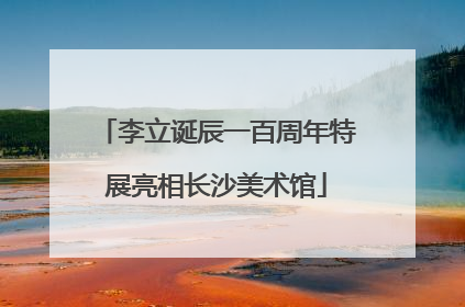 李立诞辰一百周年特展亮相长沙美术馆