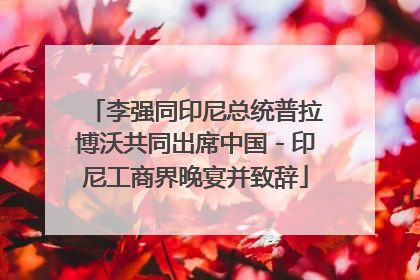 李强同印尼总统普拉博沃共同出席中国－印尼工商界晚宴并致辞