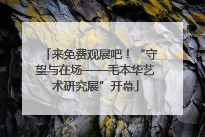 来免费观展吧！“守望与在场——毛本华艺术研究展”开幕