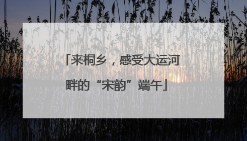 来桐乡，感受大运河畔的“宋韵”端午