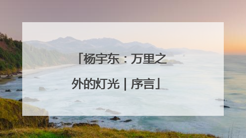 杨宇东：万里之外的灯光｜序言
