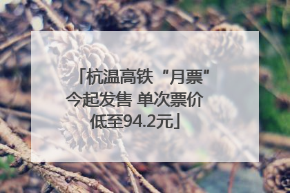 杭温高铁“月票”今起发售 单次票价低至94.2元