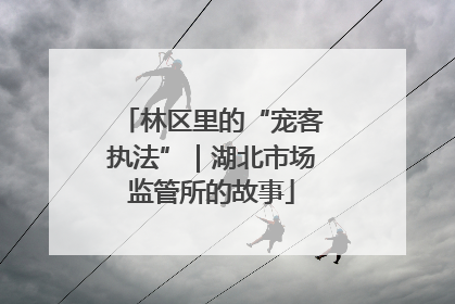 林区里的“宠客执法”｜湖北市场监管所的故事