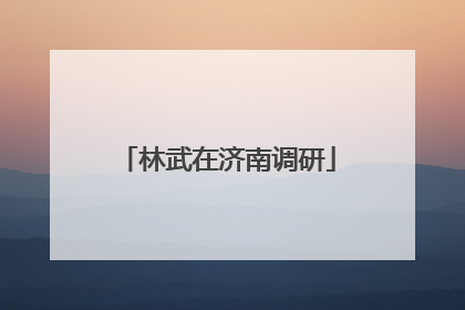 林武在济南调研