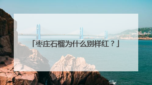 枣庄石榴为什么别样红？