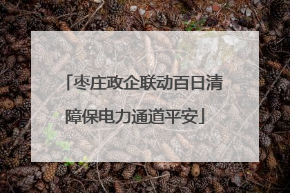 枣庄政企联动百日清障保电力通道平安