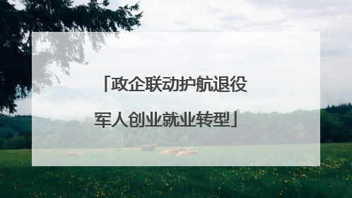 政企联动护航退役军人创业就业转型