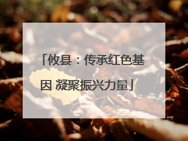 攸县：传承红色基因 凝聚振兴力量